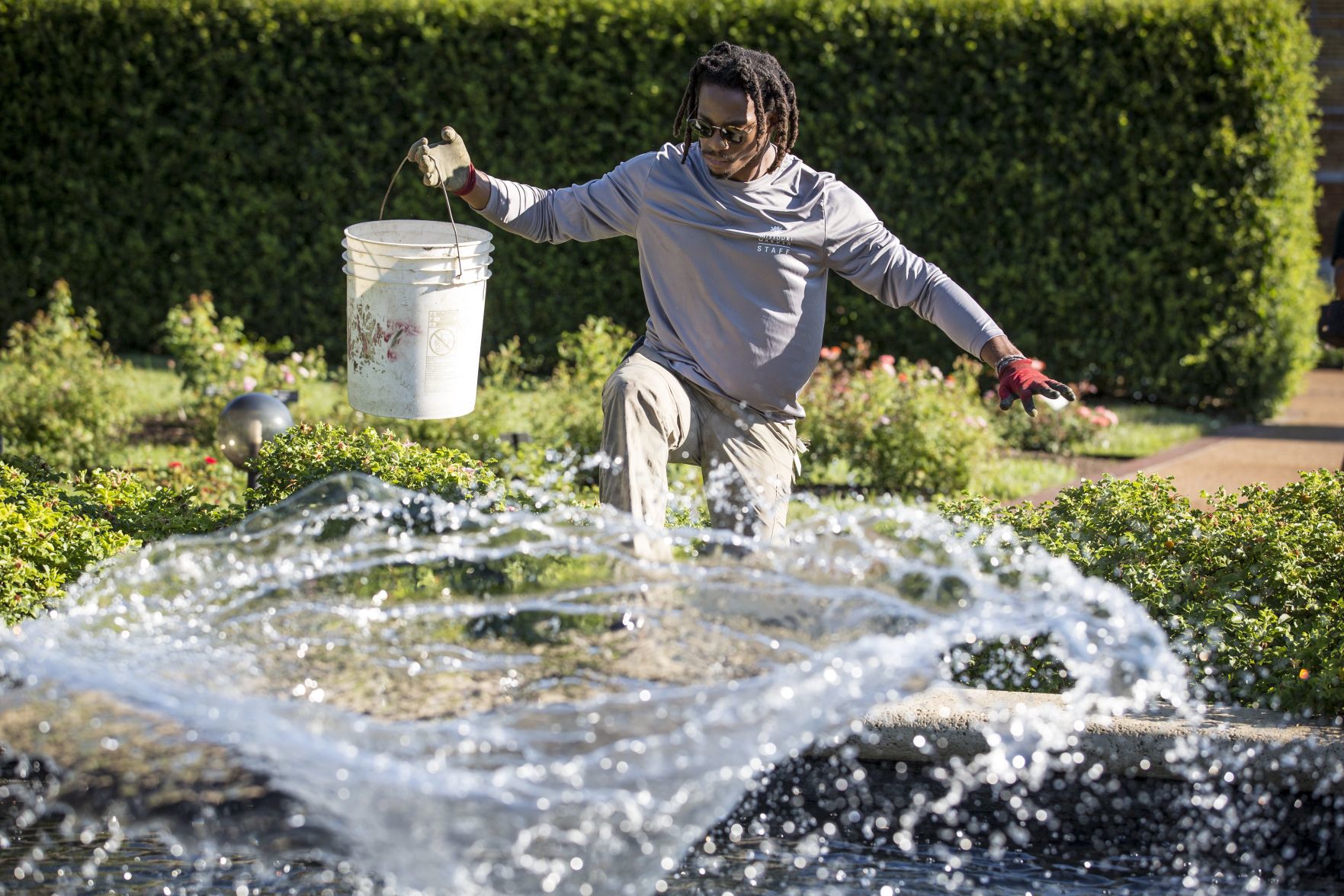 Matthew Norman, rosarian